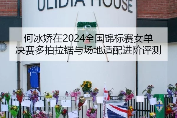 何冰娇在2024全国锦标赛女单决赛多拍拉锯与场地适配进阶评测